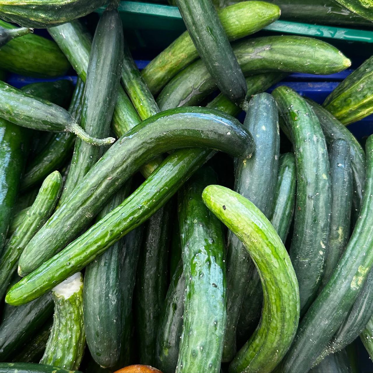 The Asian Harvest Box