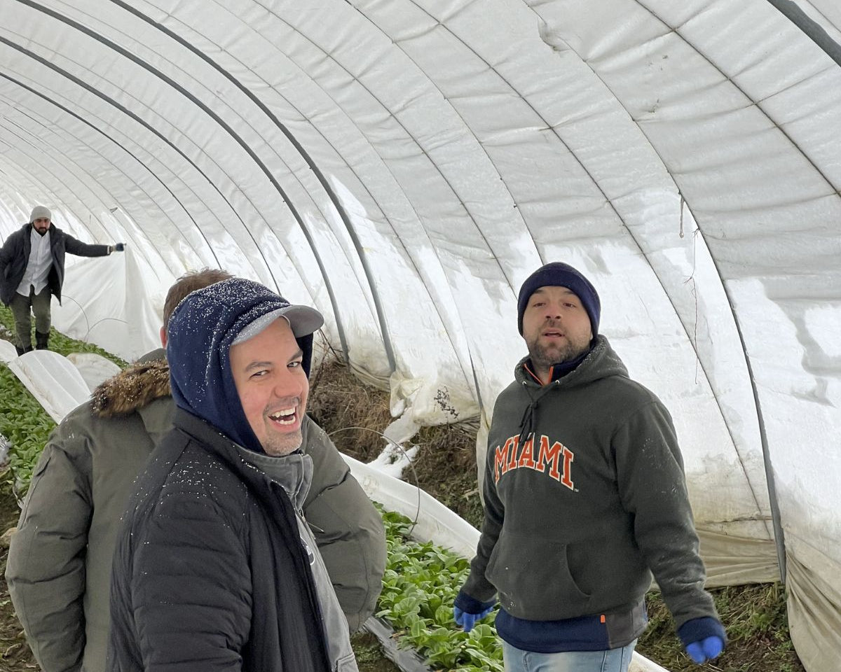 In the high tunnels on a snowy day in Norwich at the farm.