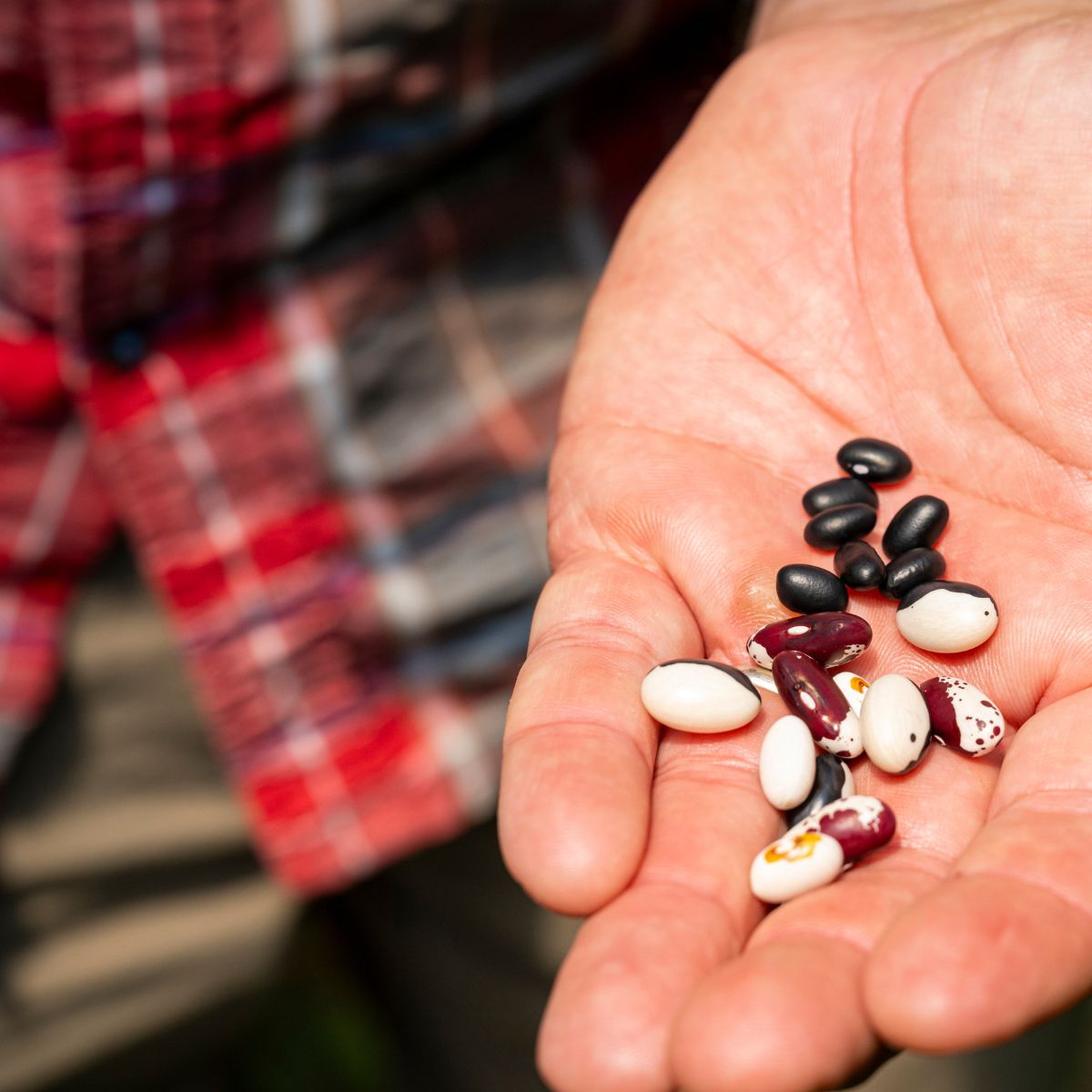 Growing a number of different crops is essential to a healthy farm.