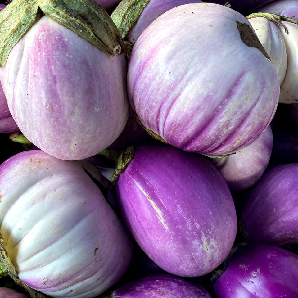 Sicilian Eggplant from Norwich Meadows Famr