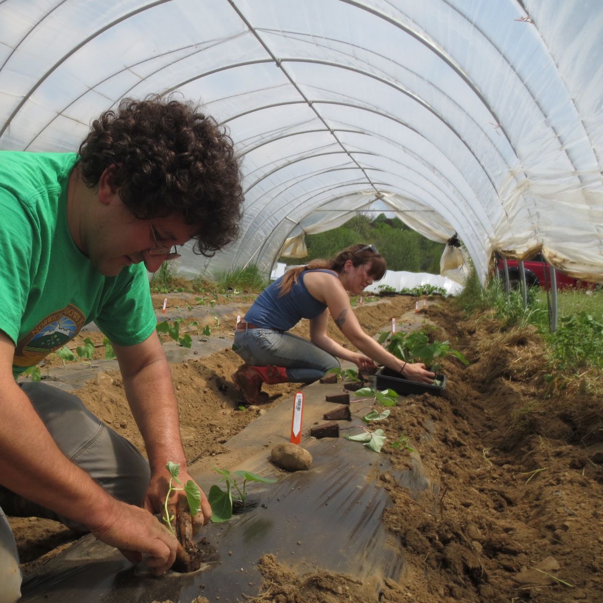 Students and teachers learn on the farm, how different uses of high tunnel farming help season extension.