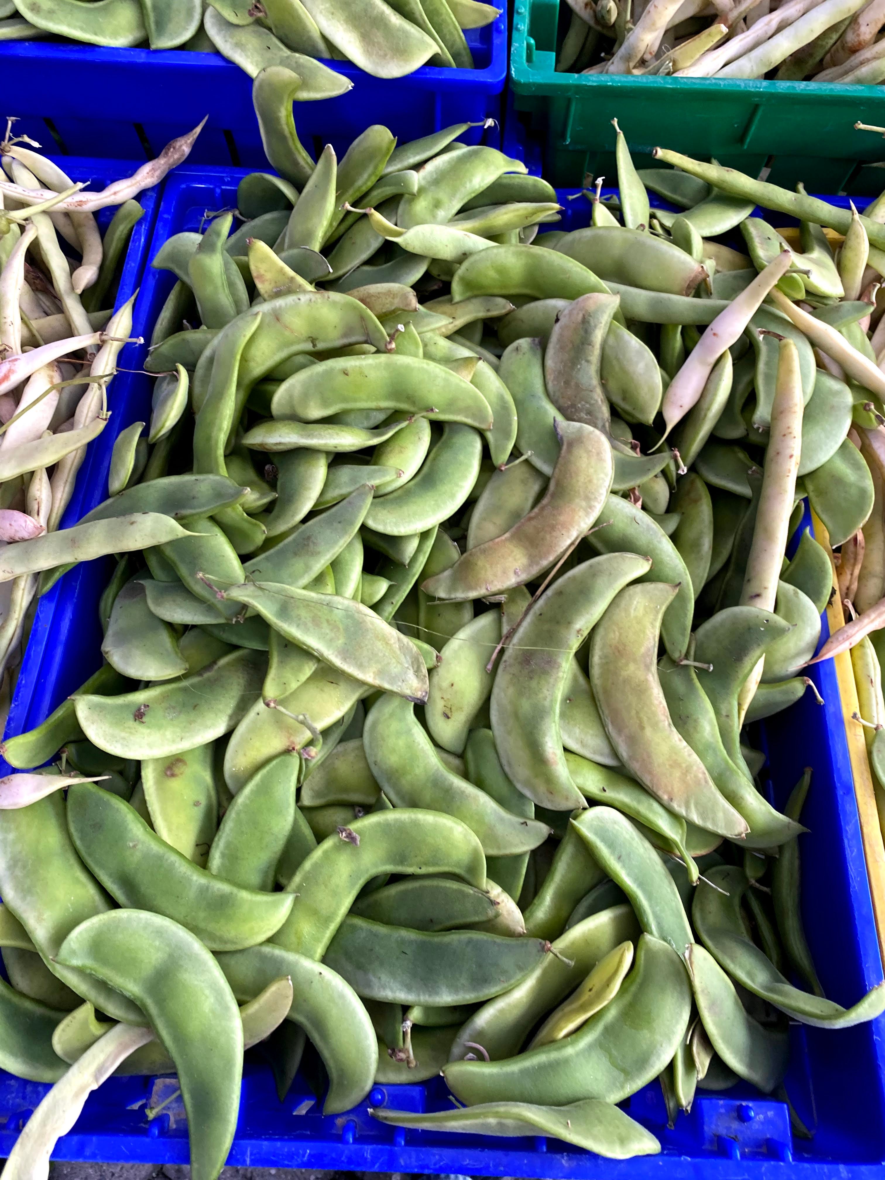 Fresh Shelling Bean Collection