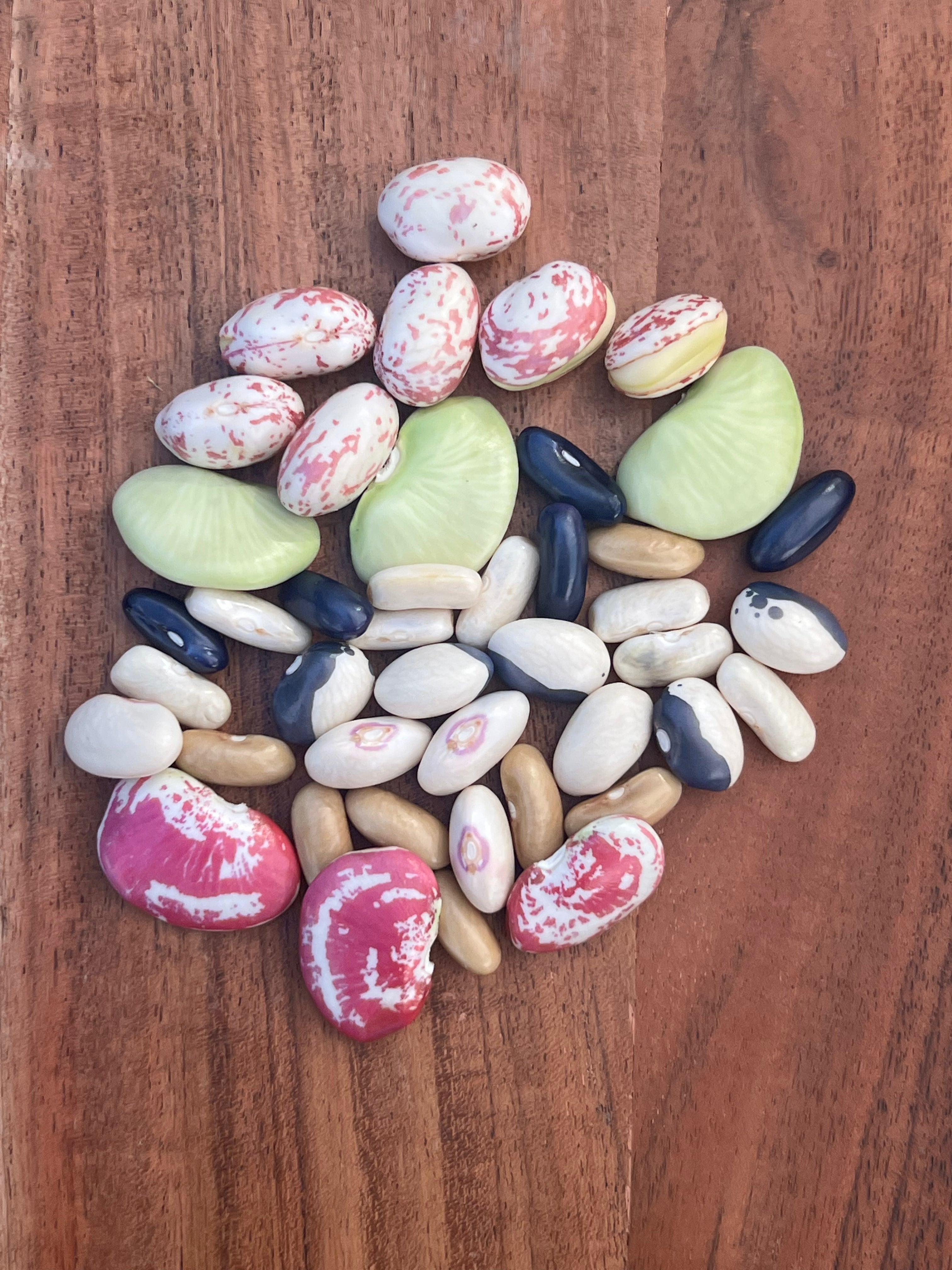 Fresh Shelling Bean Collection