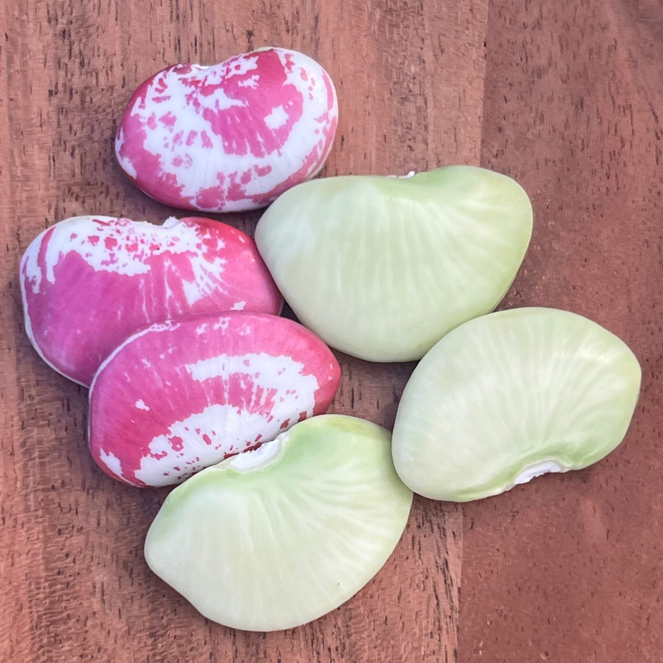 a mix of fresh and christmas lima beans grown upstate by norwich meadows farm