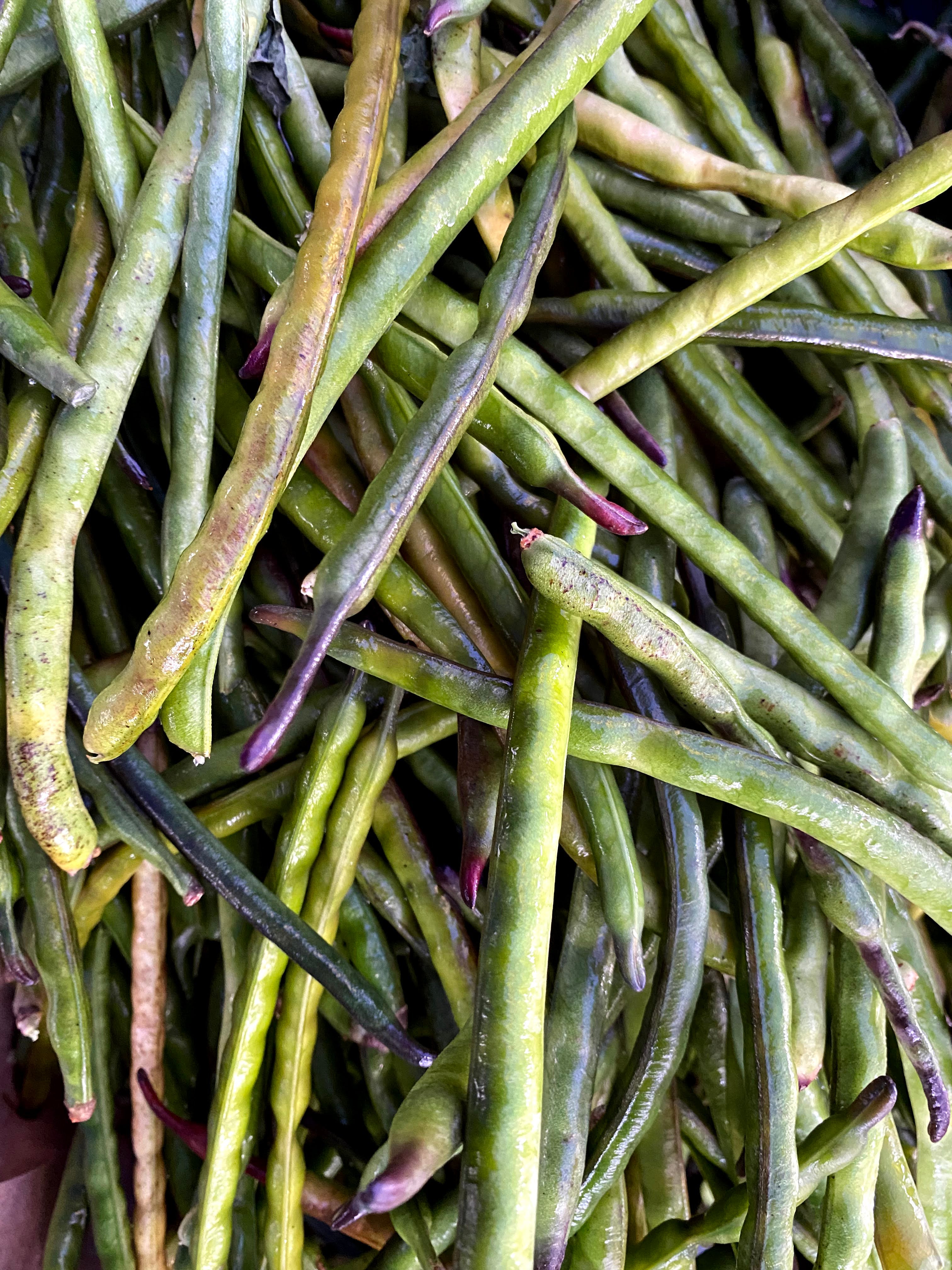 Fresh Shelling Bean Collection