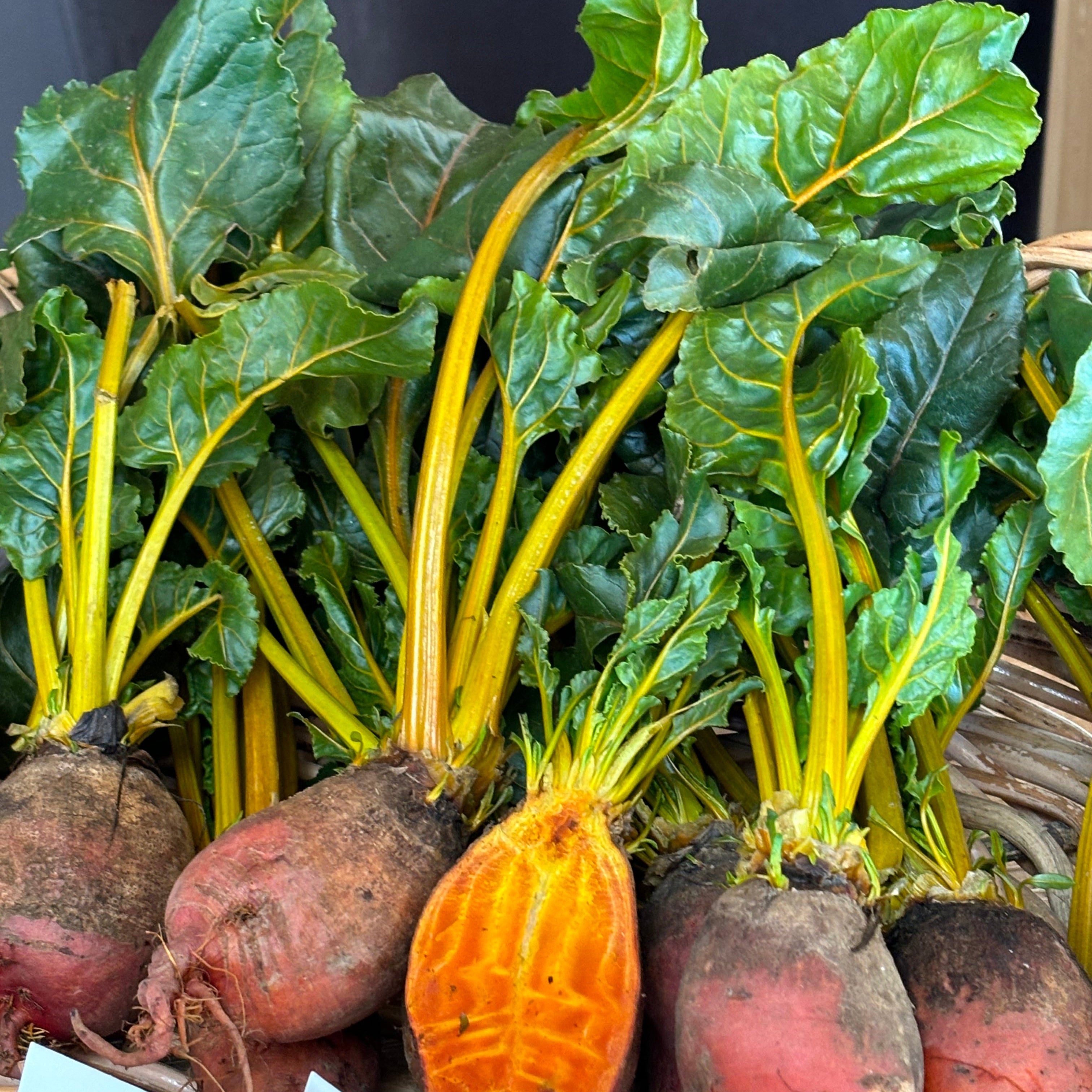 Badger Flame Beets on display harvested from our farm in Norwich.