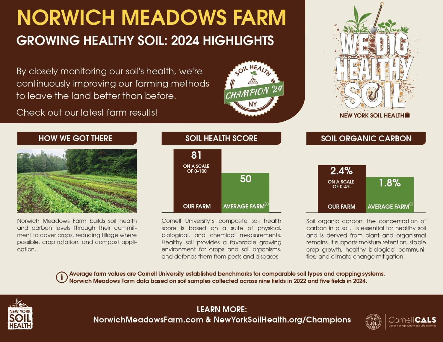 Norwich Meadows Soil Champion Certificate