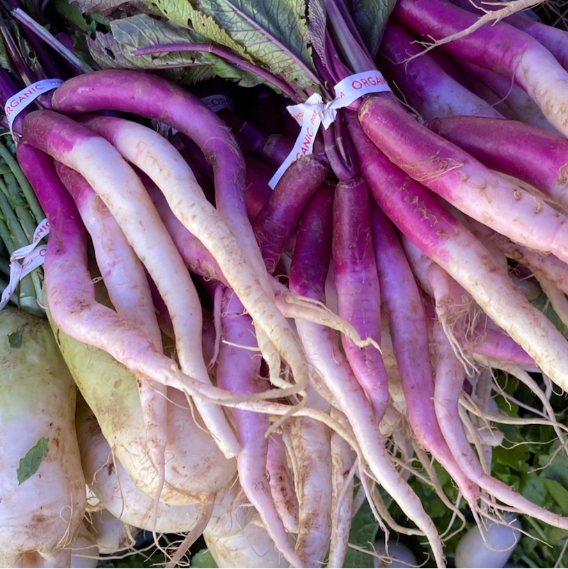 Hinona Kabu Turnips grown on Norwich Meqadows Farm for sale at the Union Square Green Market.