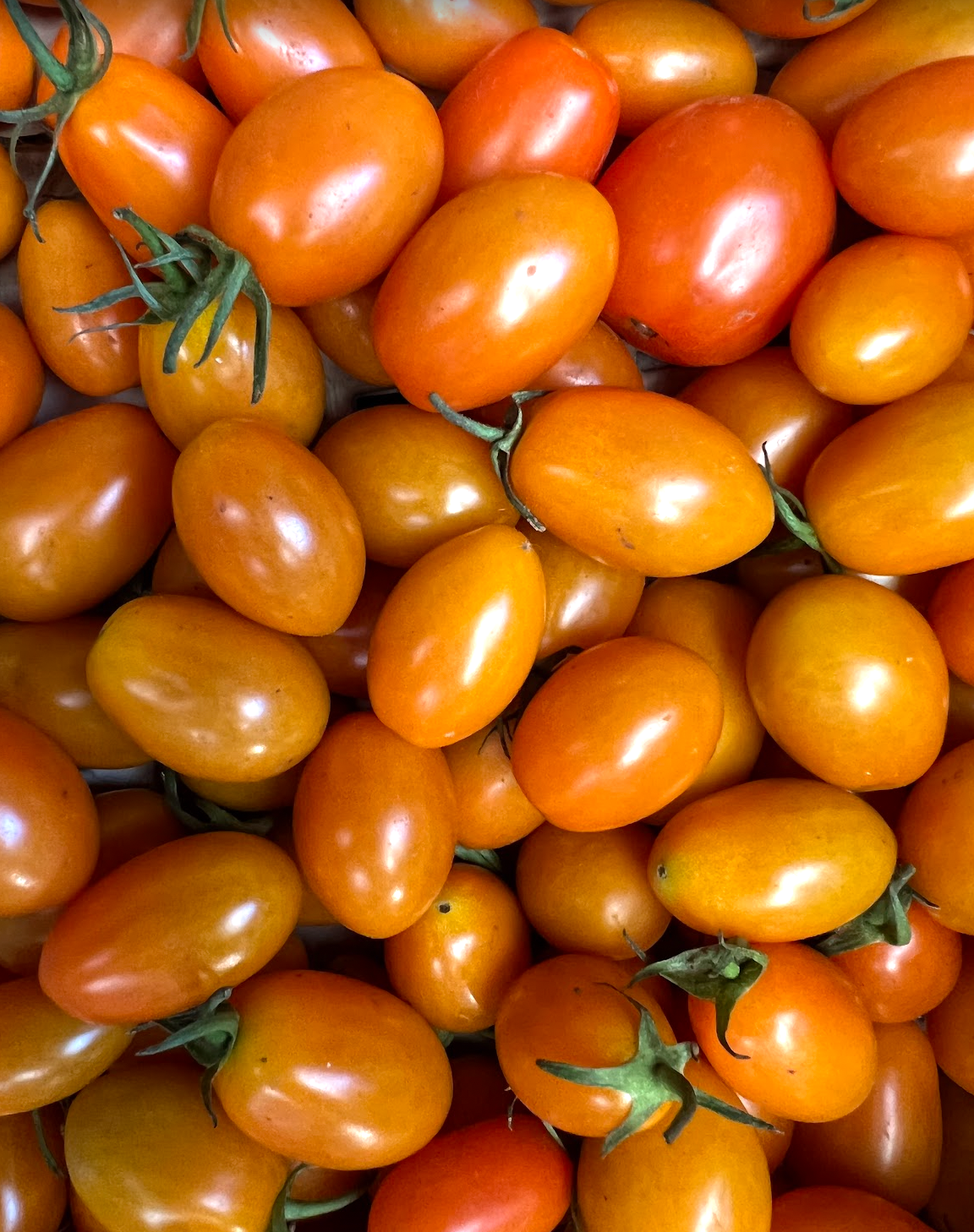 The Farm Box
