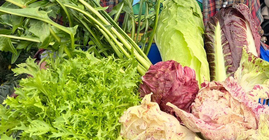 An assortment of radicchio and chicory available for sale from our farm.