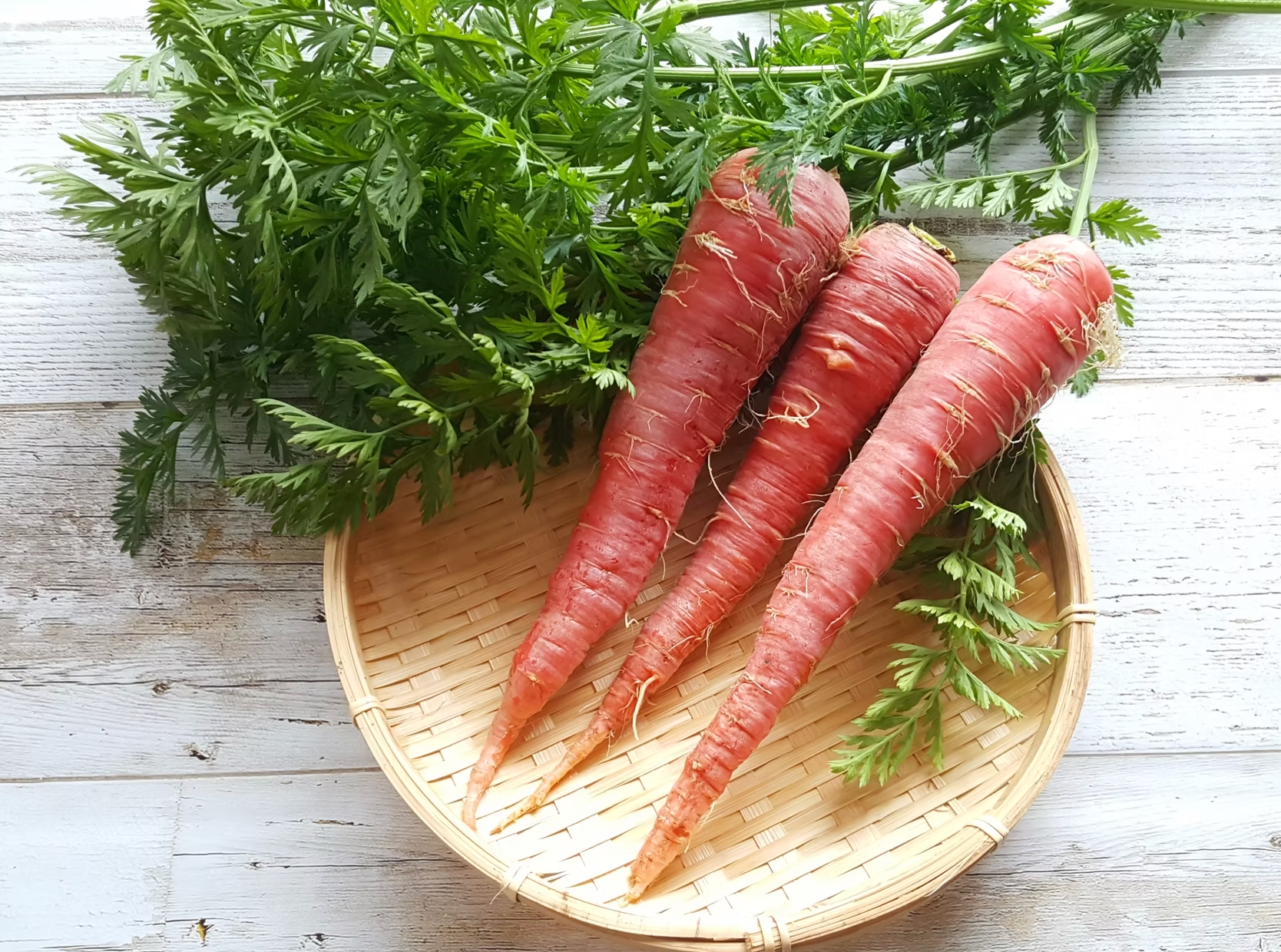 Kyoto Red carrots with their green tops attached, showing their deep red-orange color — a Japanese carrot variety featured in the Asian vegetable box.