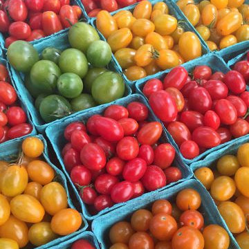 Assorted cherry tomatoes in blue cartons at a market from norwich meadows Farm