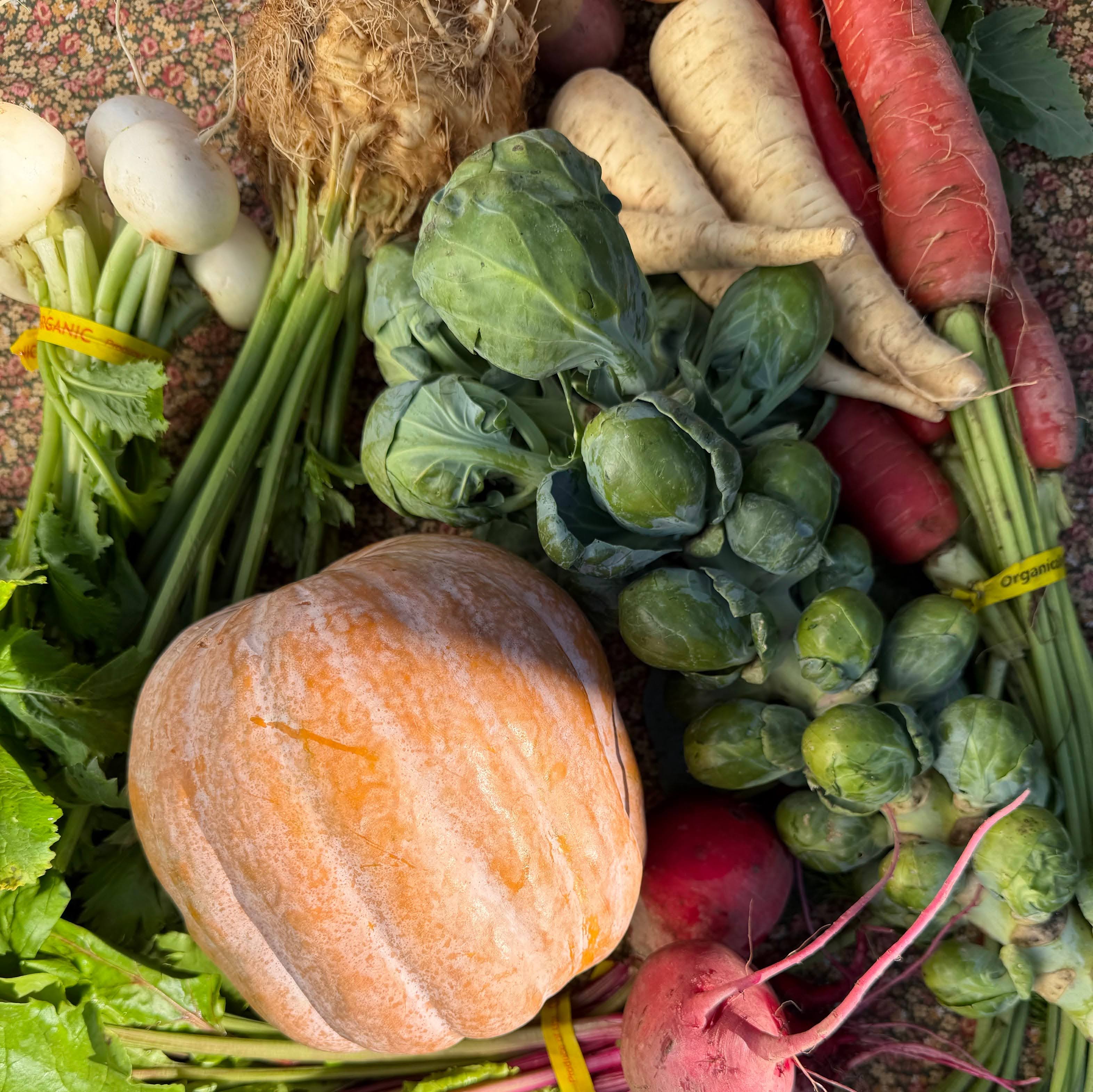 Fall Harvest Vegetable Box with winter squash, carrots, potatoes from Norwich Meadows Farm.