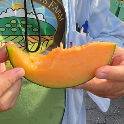 Orange flesh of a hokkaido melon grown at norwich meadows farm.
