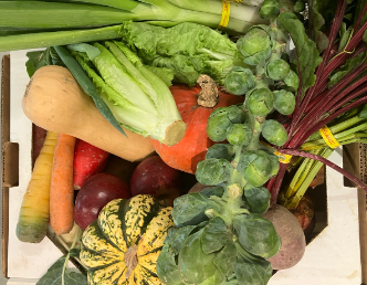 A cardboard box filled with assorted fresh vegetables, including green beans, lettuce, Brussels sprouts, carrots, a butternut squash, red apples, and a striped yellow-and-green gourd.