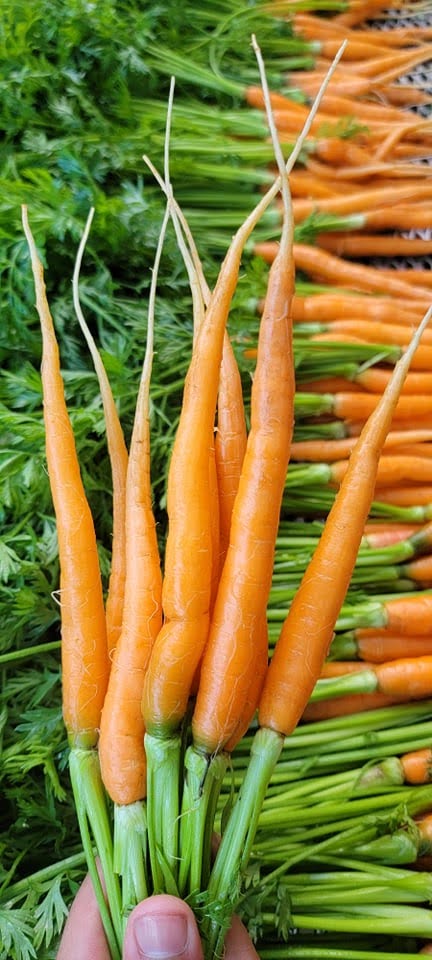 The Farm Box