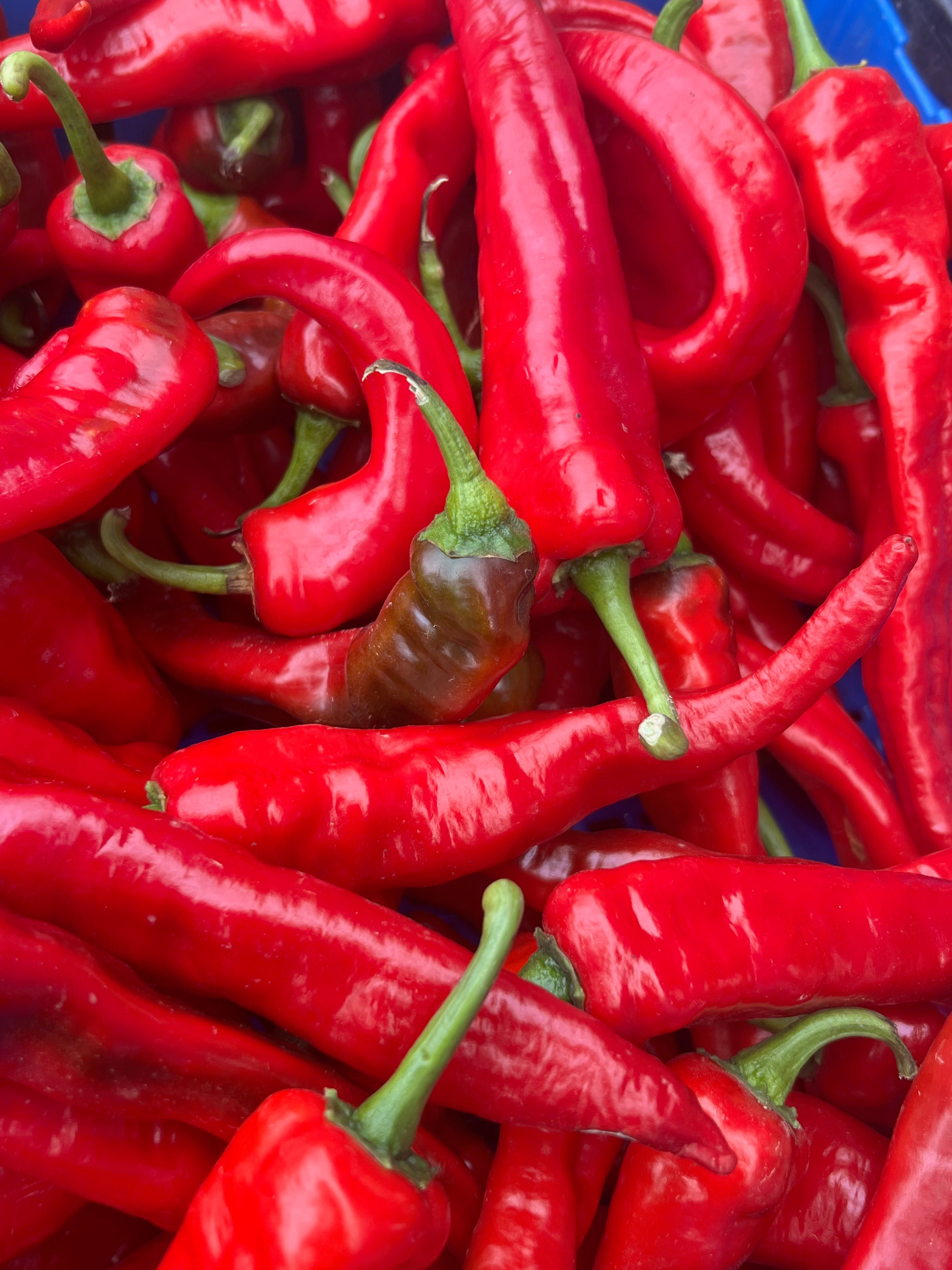 Culinary Chile Collection