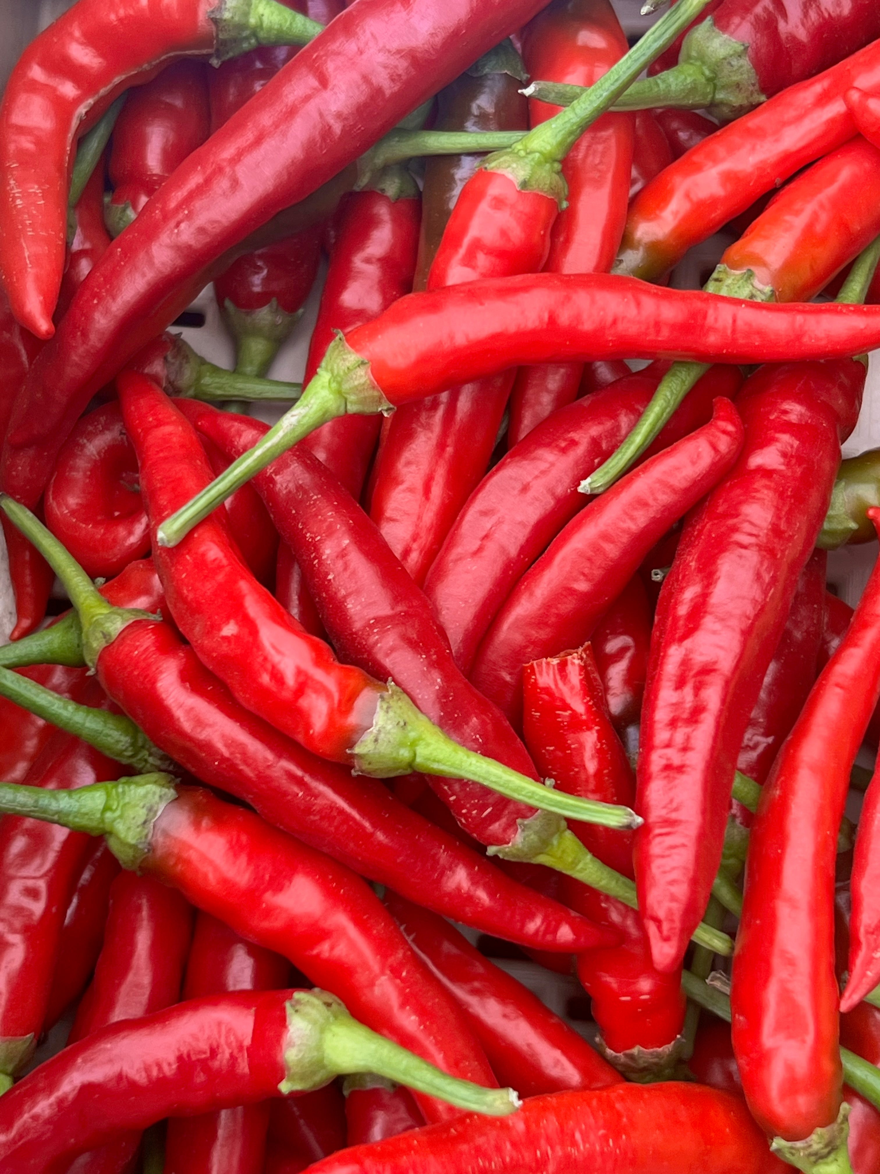 Culinary Chile Collection