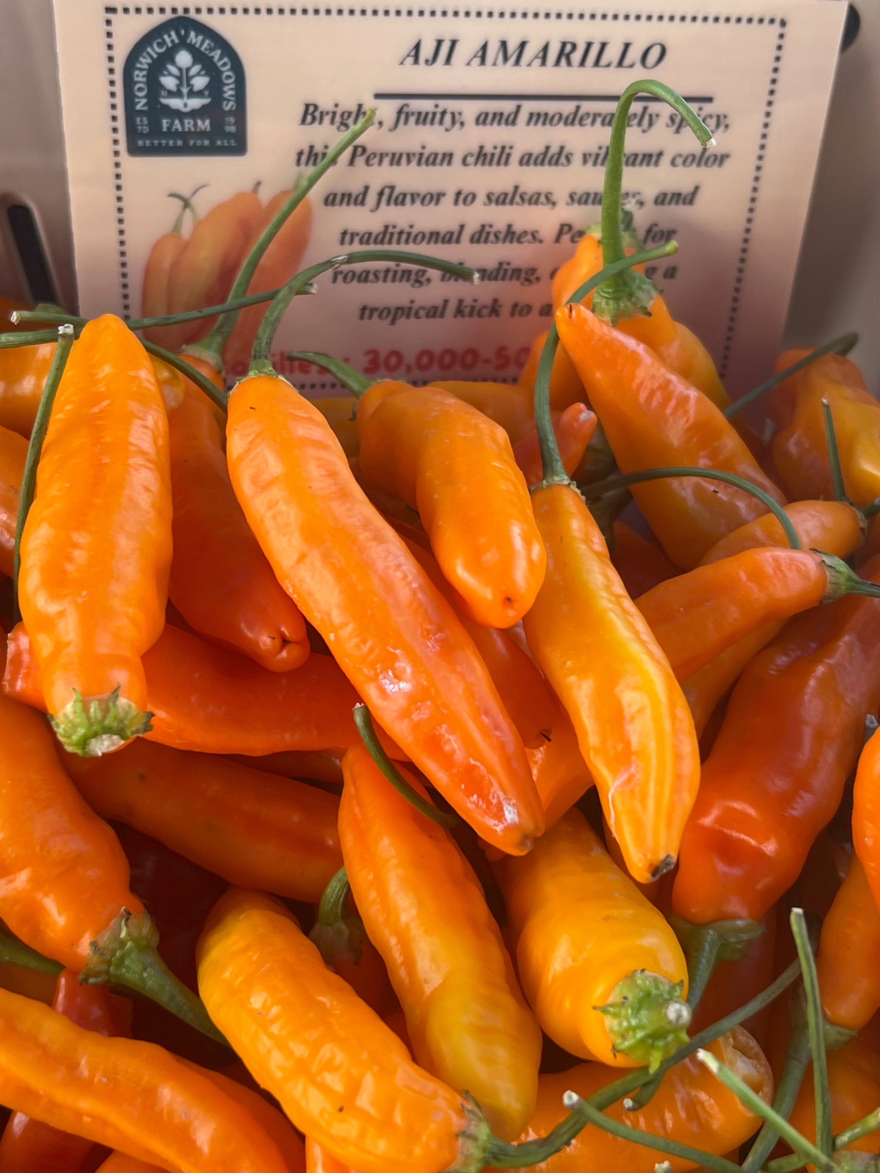 Culinary Chile Collection