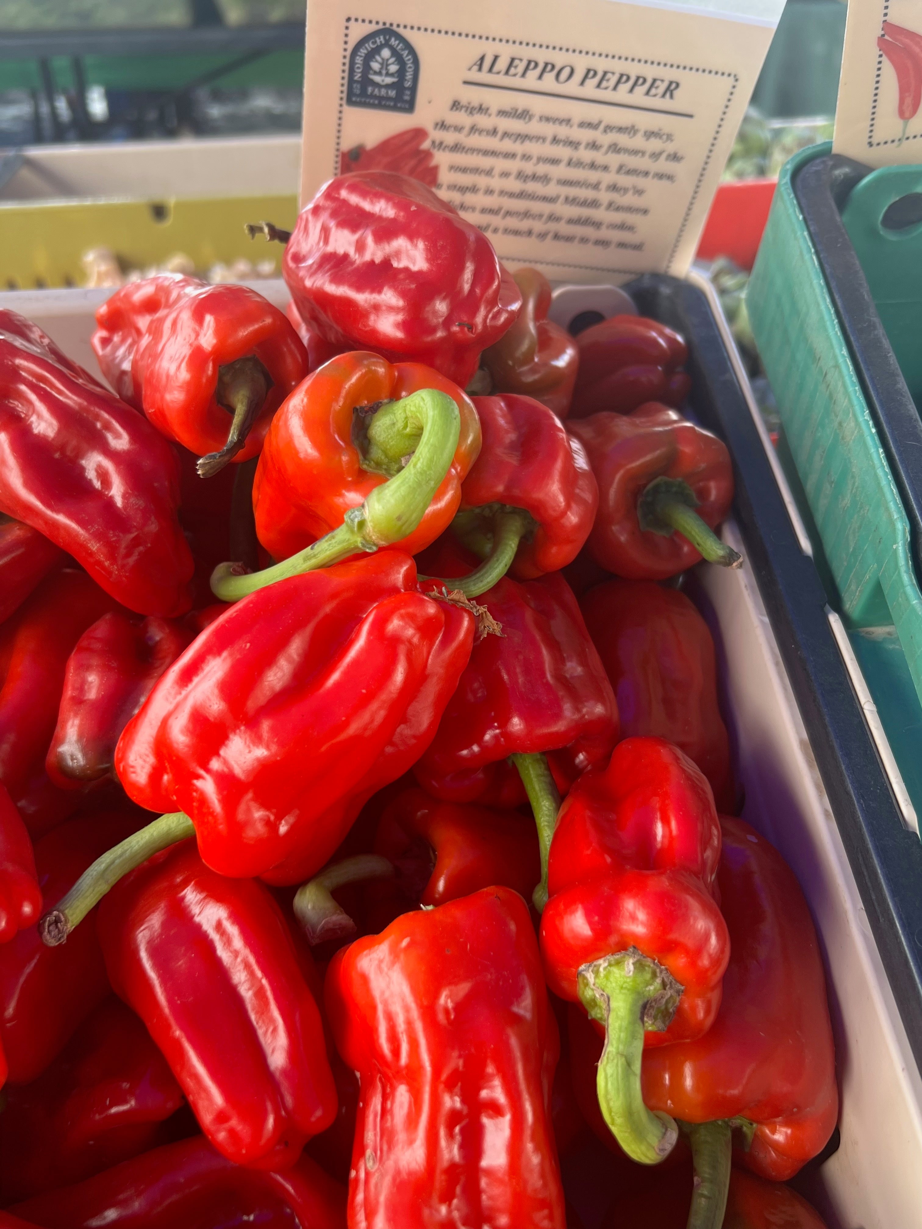 Culinary Chile Collection