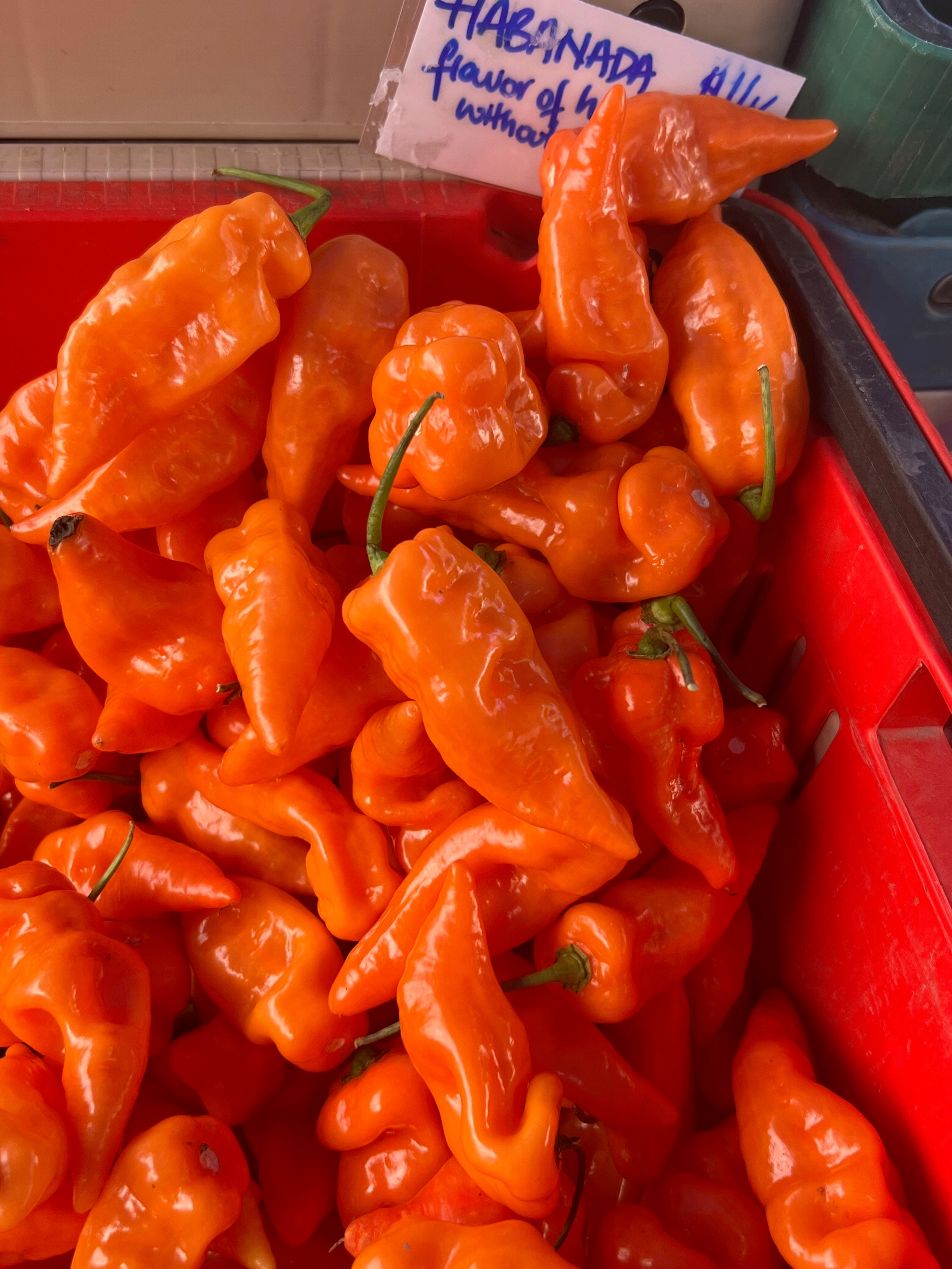 Culinary Chile Collection