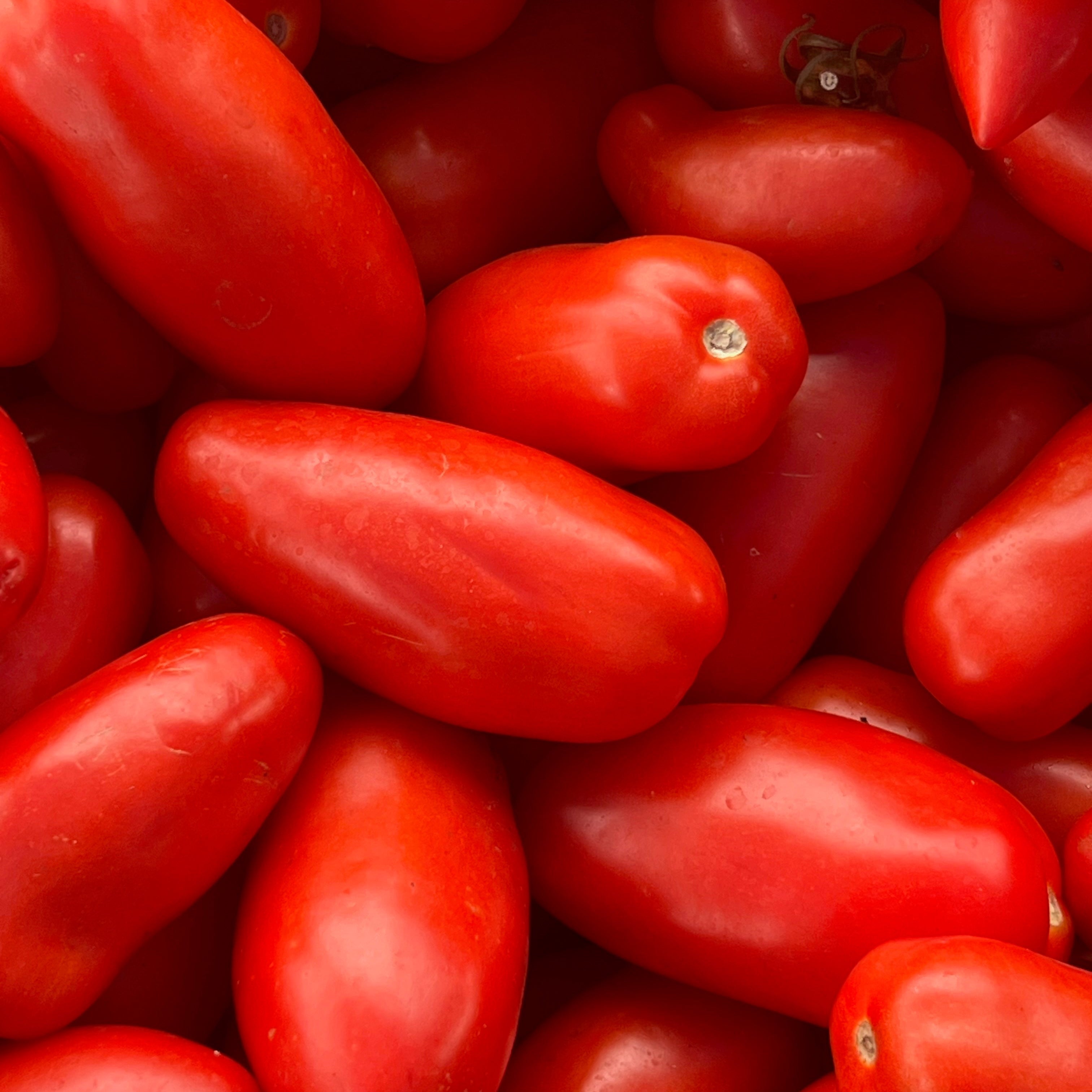 San-Marzano Style Tomatoes grown in Norwich NY