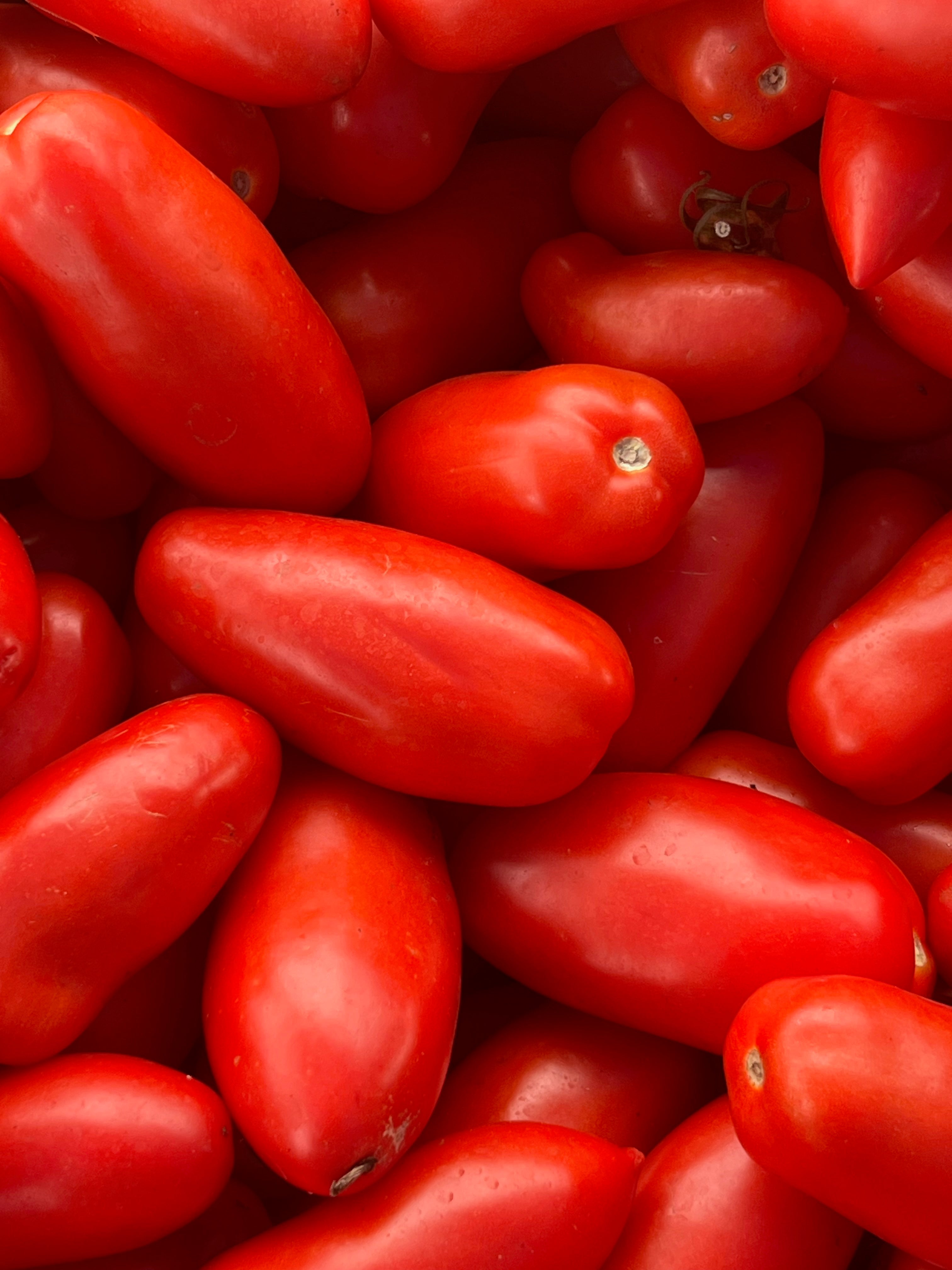 Heirloom Tomato Collection