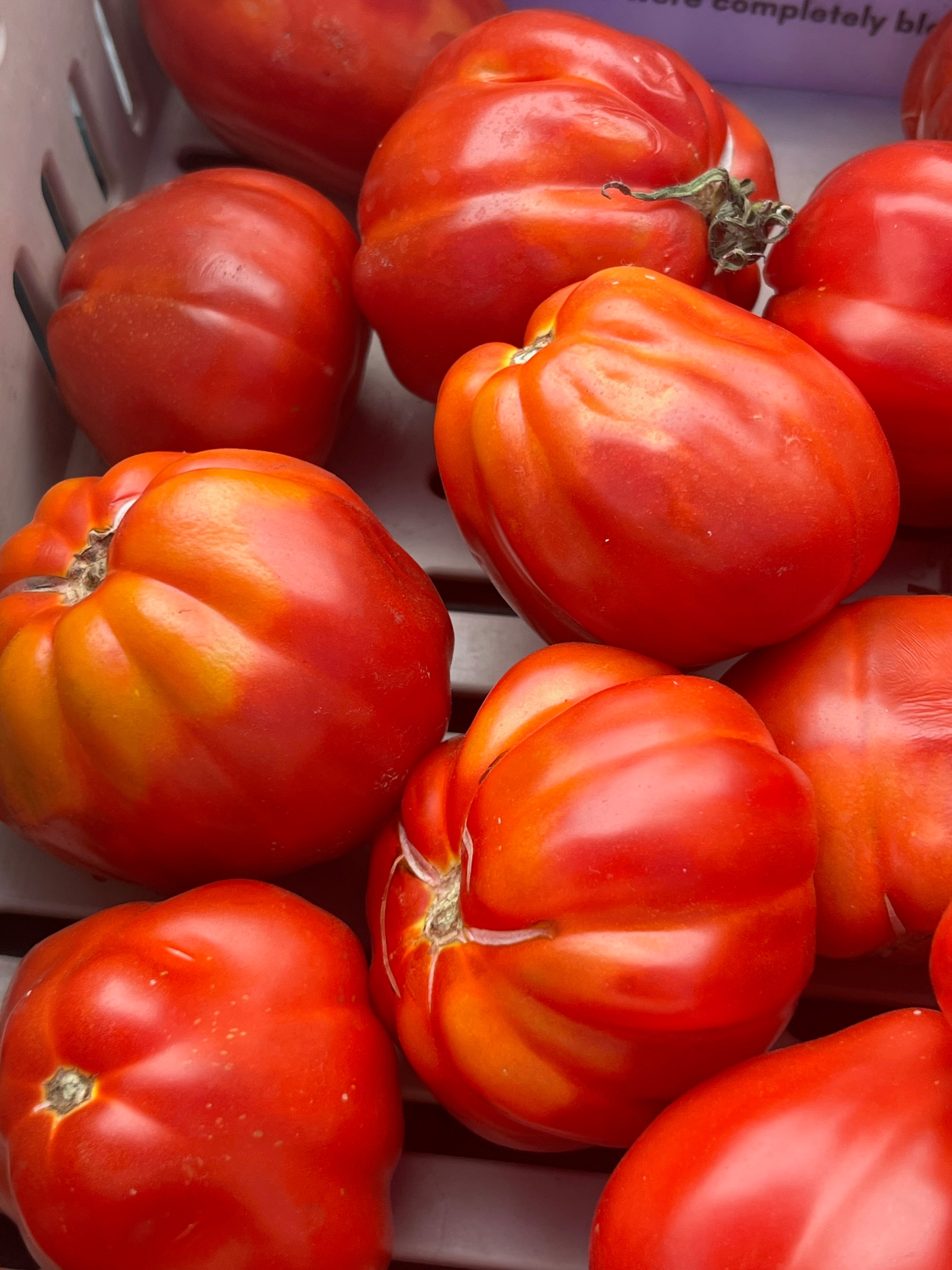 Heirloom Tomato Collection