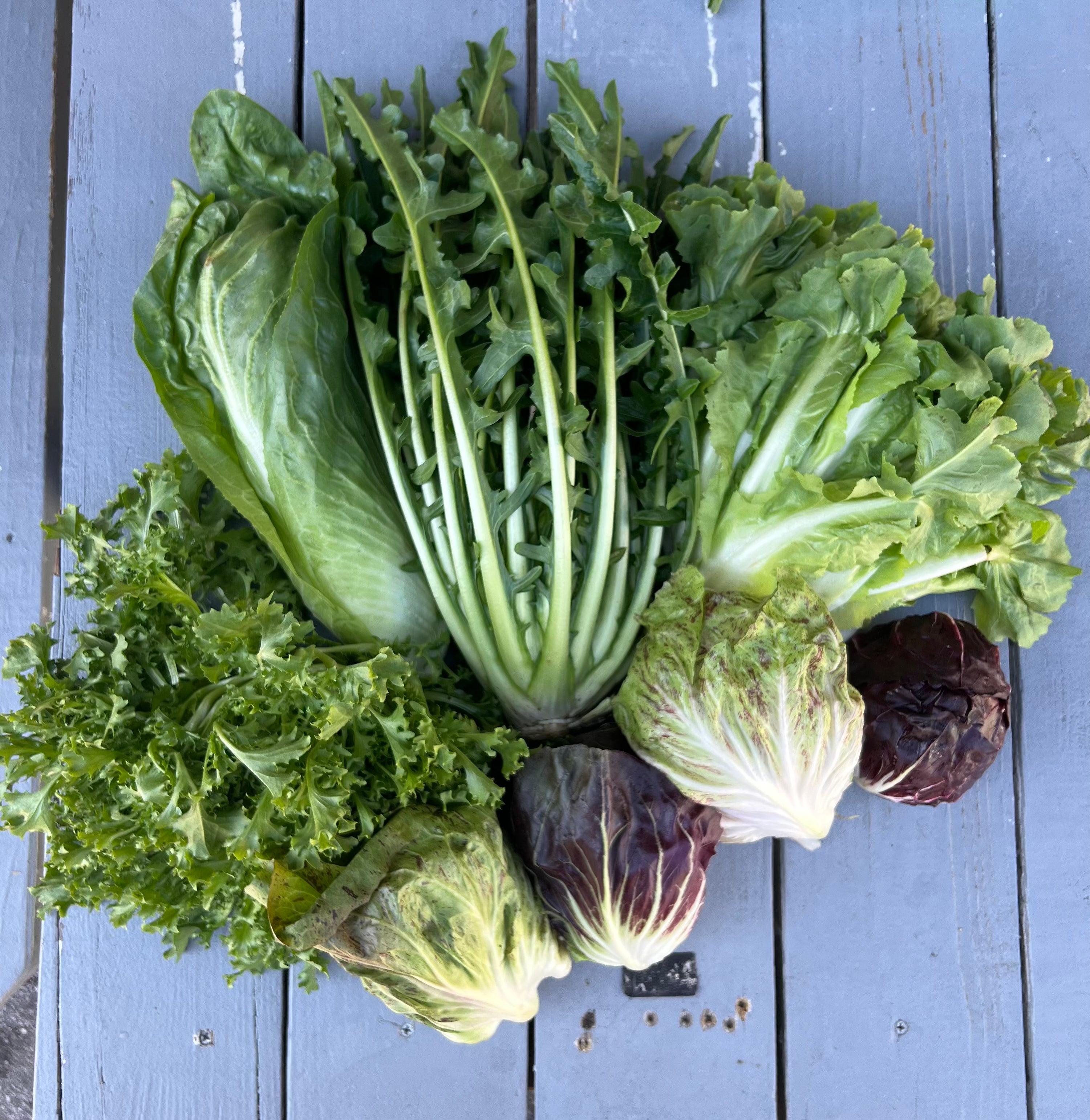Fall Chicory & Radicchio Box