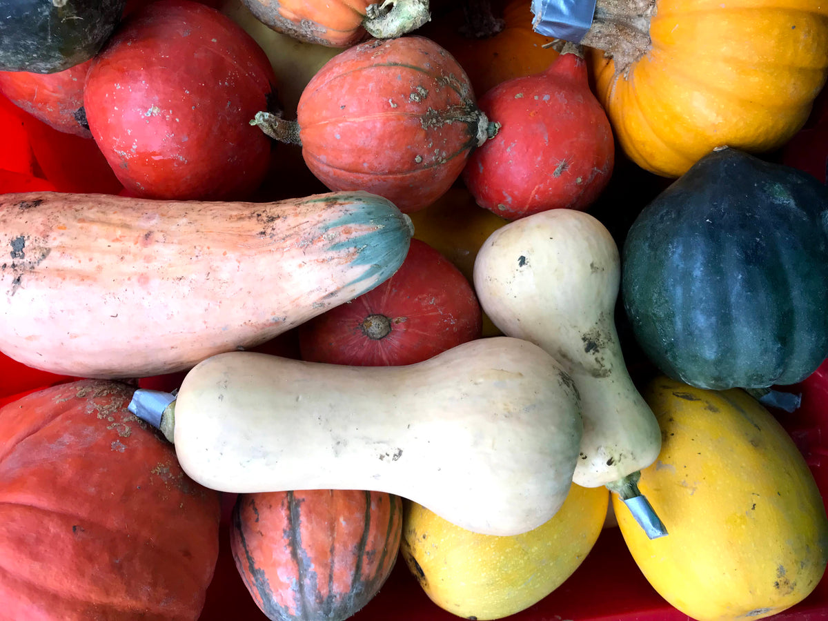 CSA for SNAP