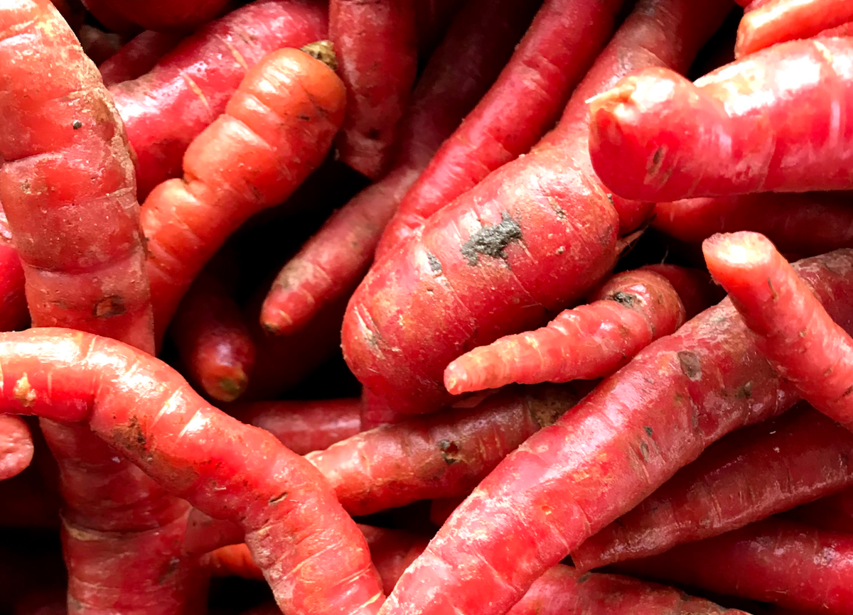 Kyoto Carrots grown by Norwich Meadows Farm at Union Square