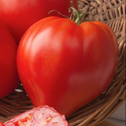 Oxheart Tomato