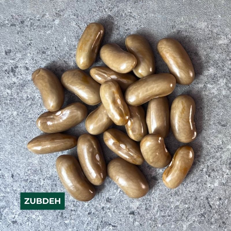 Cornell Dry Bean Collection – 2026 Harvest