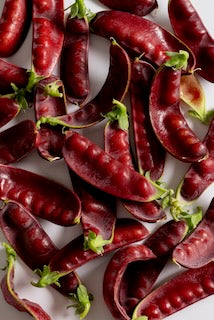 Mazourek Snow Pea Breeding Medley