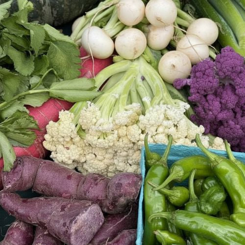 Asian Box For overnight shipping from norwich meadows Farm