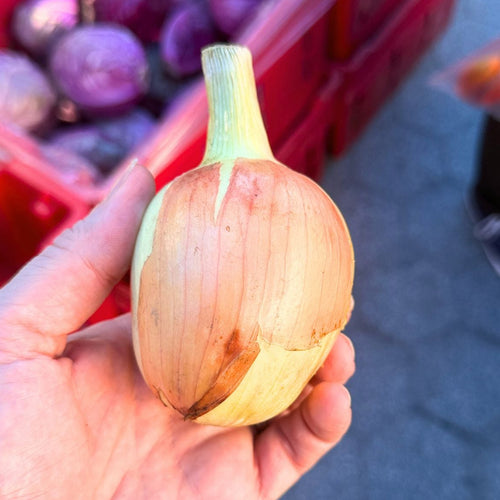 Walla Walla Onions - 2 pieces