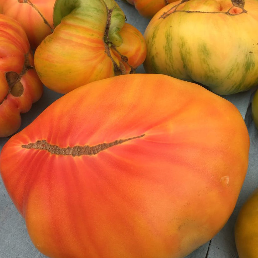 Heirlooms at Union Square grown by norwich meadows farm