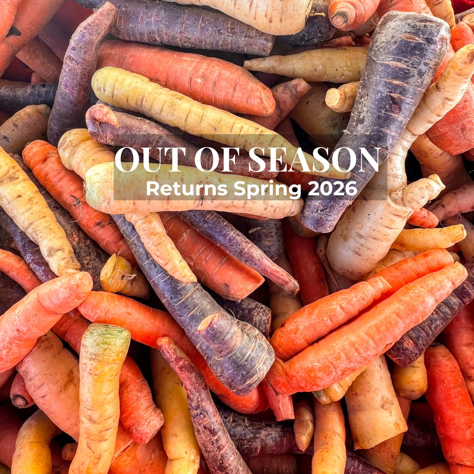 Holiday Table Vegetable Box