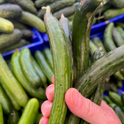 Japanese, Natsu Cucumber - 2pcs