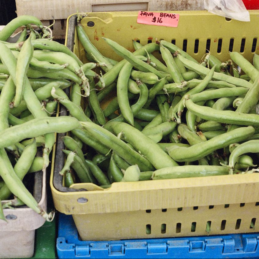 Fava Beans for sale at Union Square Green Market.