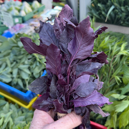 Opal basil at the Union Square green market - waiting for one of our chefs to pick it up.