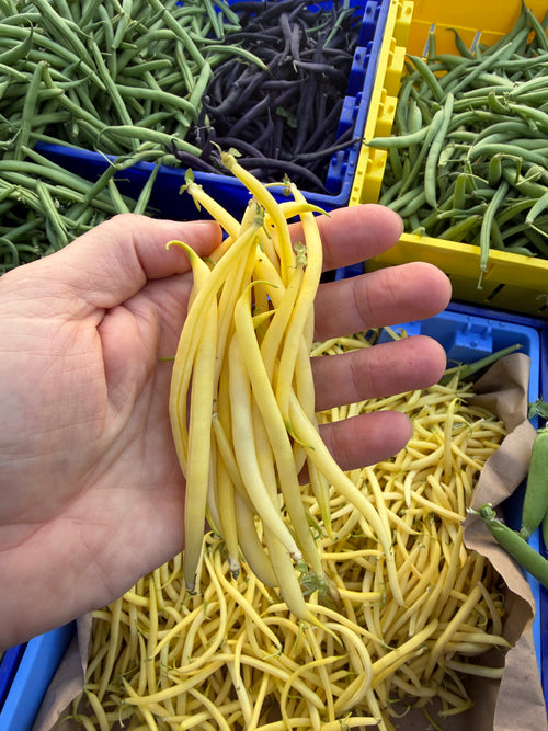 Green Haricot Verts - 6oz