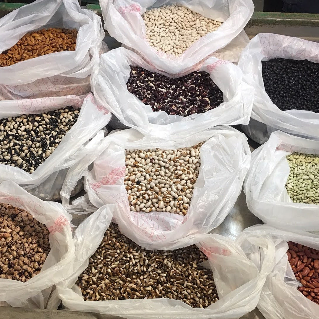 Dried Shelling Beans grown by Norwich Meadows Farm