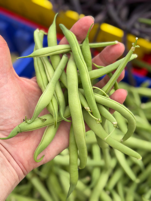 Purple String Beans - 8oz