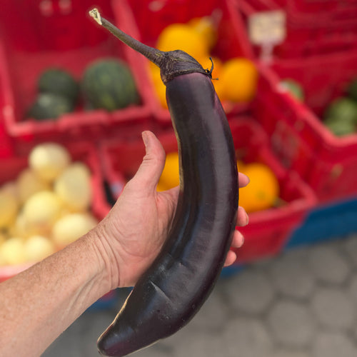 Japanese Eggplant grown at Norwich Meadows Farm.