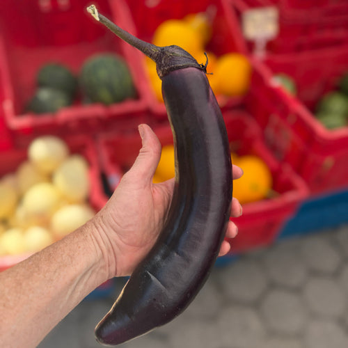 Black Japanese Eggplant - Norwich Meadows farm stand at Union Square selling eggplant.