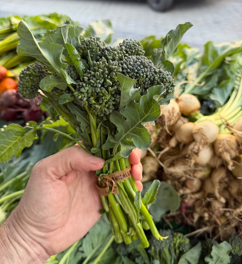 Broccolini for sale on at Union Square Market.