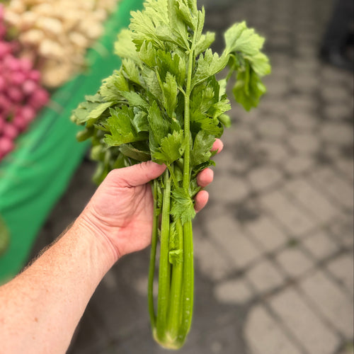 Celery grown on our farm upstate.
