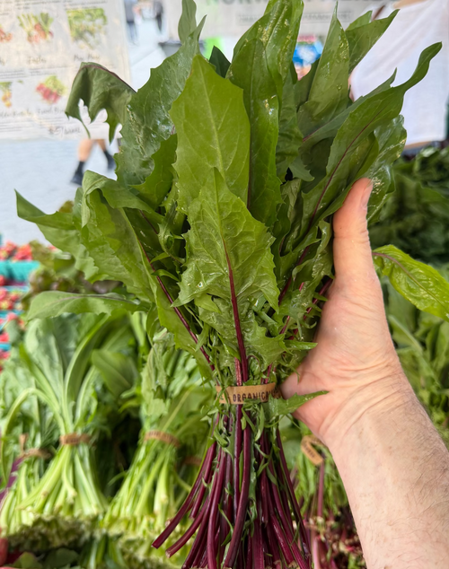 Red Italian Dandelion Greens grown by Norwich Meadows Farm.