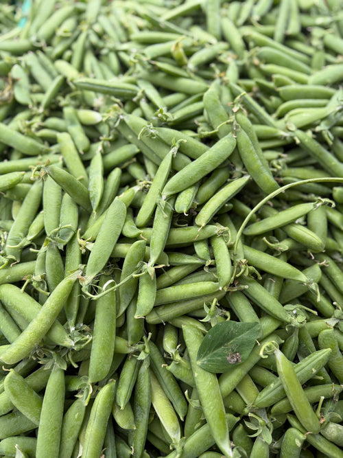 English Shelling Peas on Norwich Meadows Farm